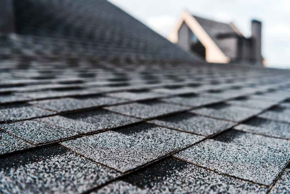 asphalt shingle roofing expert